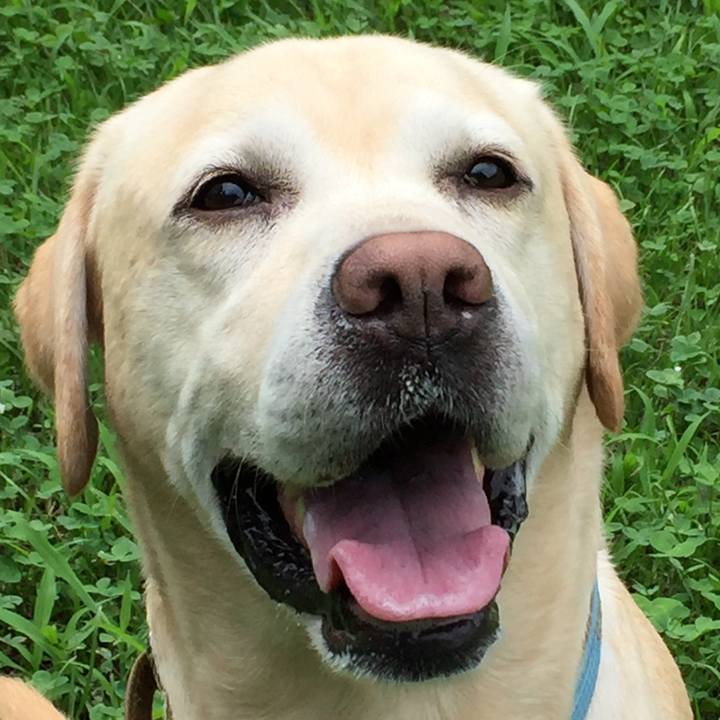 E3a67413 ebc4 4213 9a6c c7126f1049da