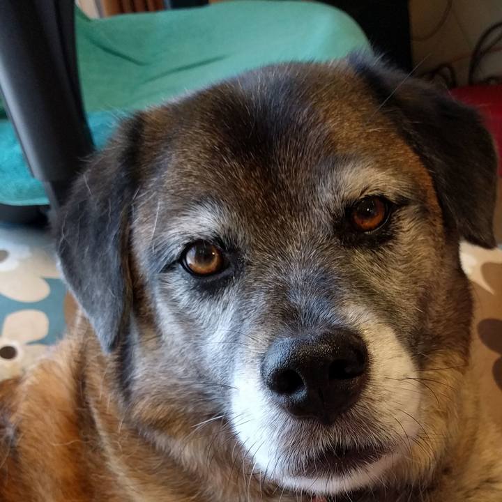 E3a6f04e 3b75 4f66 9cb5 dc0deac259dd