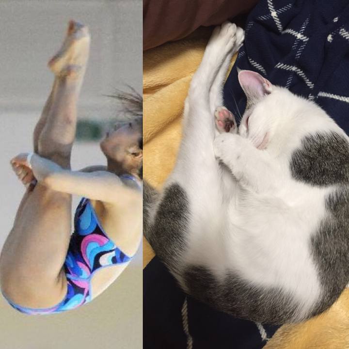 E3a74e16 86f6 46a5 9891 e727a5ecf593