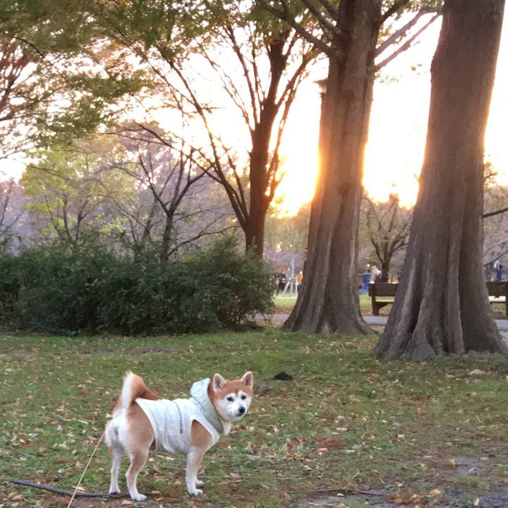 E3a83d64 2dd7 43ac 895e 880ca2edaa16