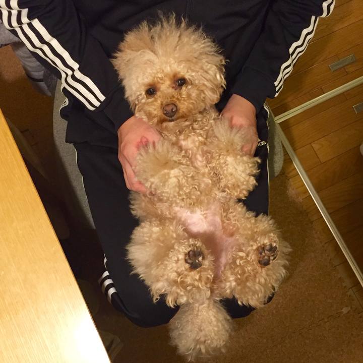 E3a840c7 95d5 4ed7 909f b91e74d4302c