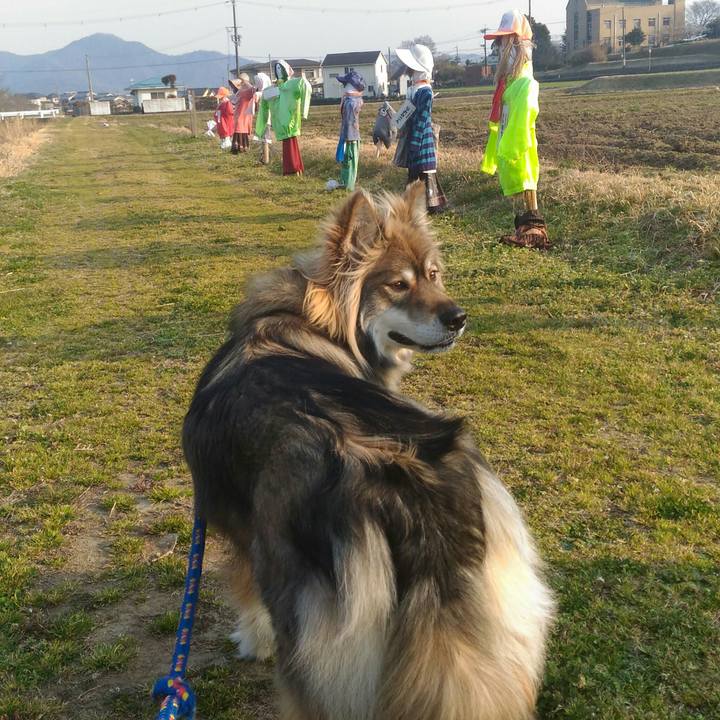 E3a89b2e 0eb8 4da5 b63d dde8544c739f