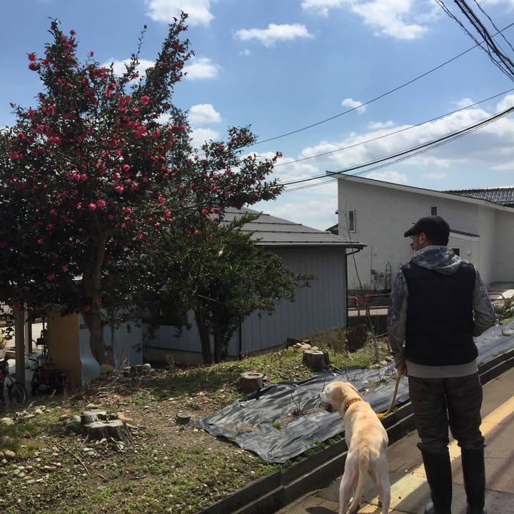 E3a8b83e b724 4ea0 811f 4c301a3a5027