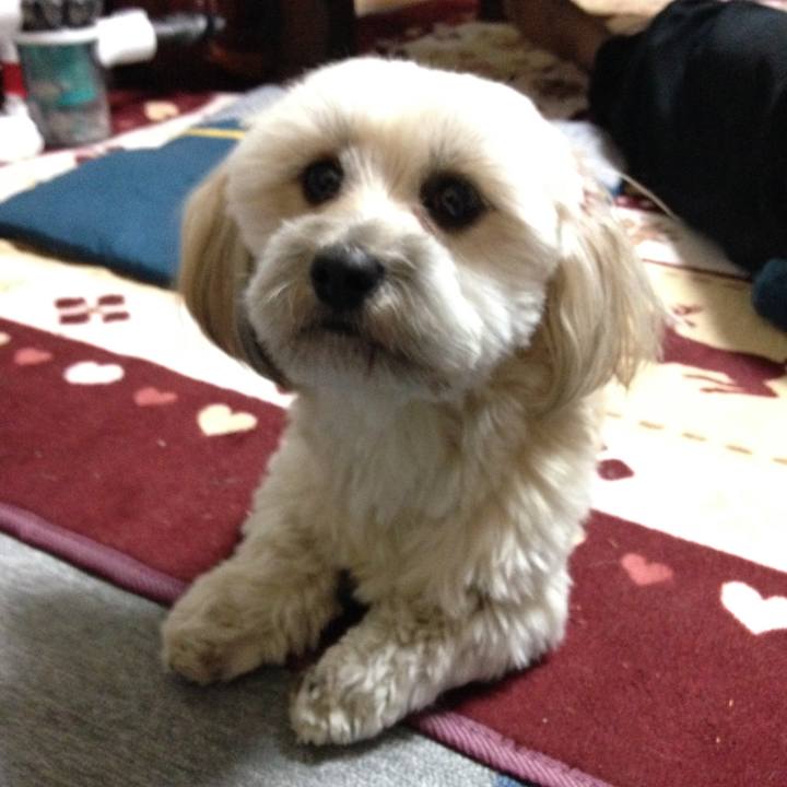 E3a8c95b 99ff 46f0 9d5e 3536102a9b5b