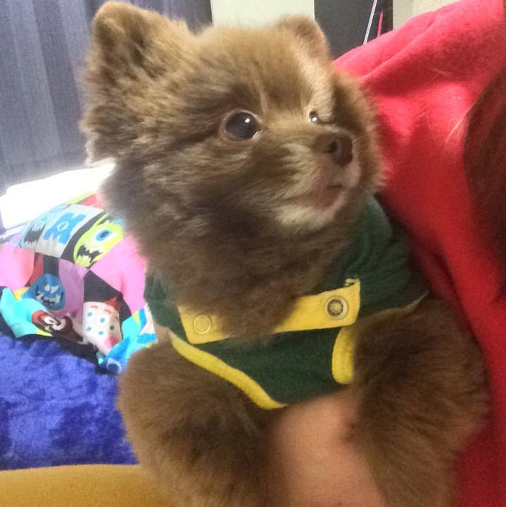 E3a964f1 6a63 47b7 b39f 25cb4583a242