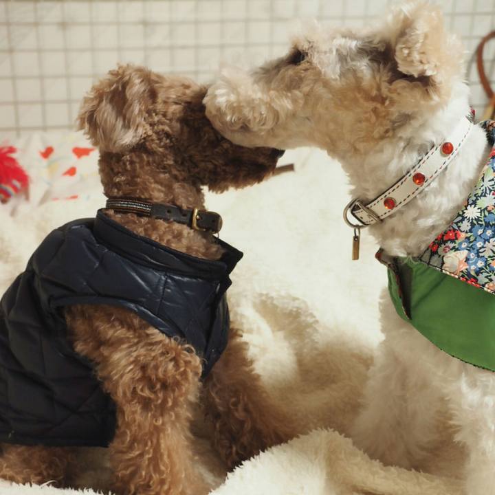 E3a9bb10 c0a1 4a0f 912a 5ac2bdabd57e