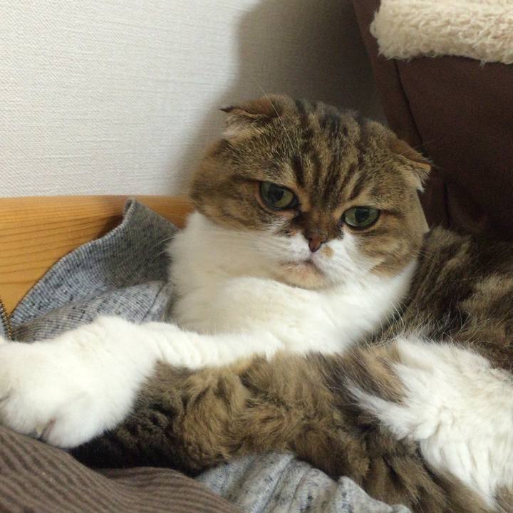 E3aa31b1 2682 4d9f 98d2 820060402c4c