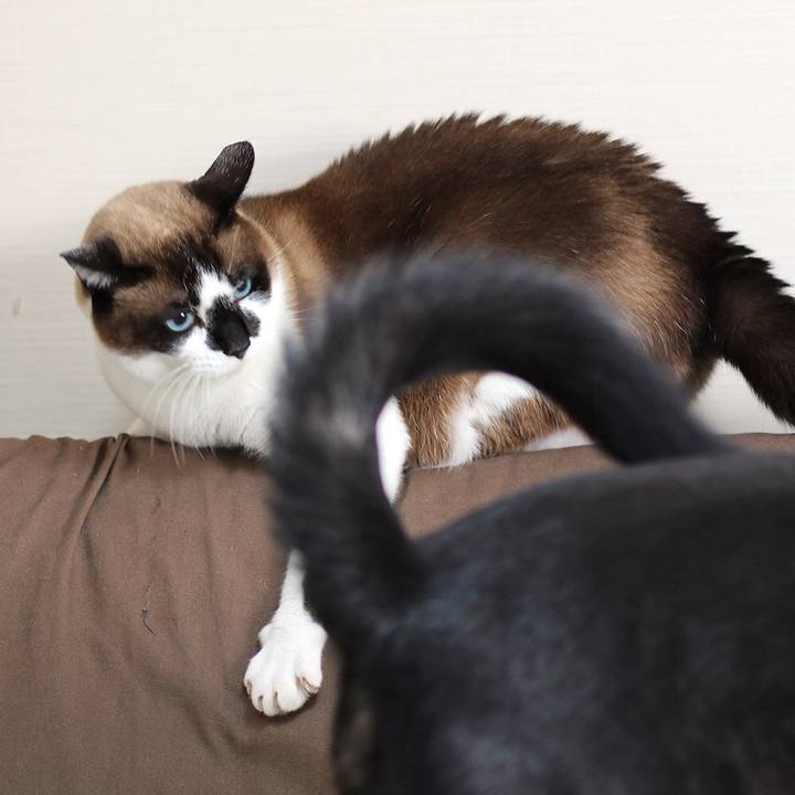 E3aae26e 249d 4c49 8cb7 3029df8fdb2d