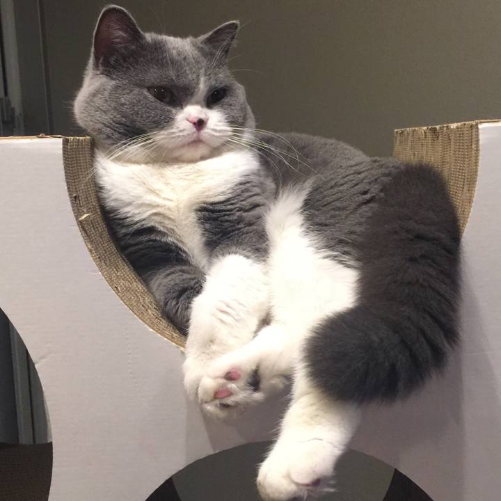 E3ab02c9 3842 487c b515 b30ea2fe8cf5