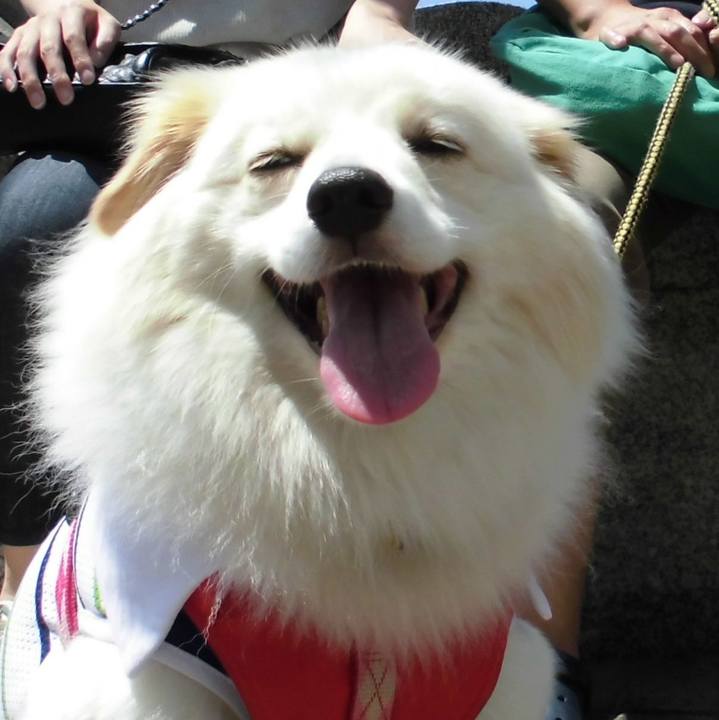 E3ab1bbf c896 458e aa83 a23f42a83a91