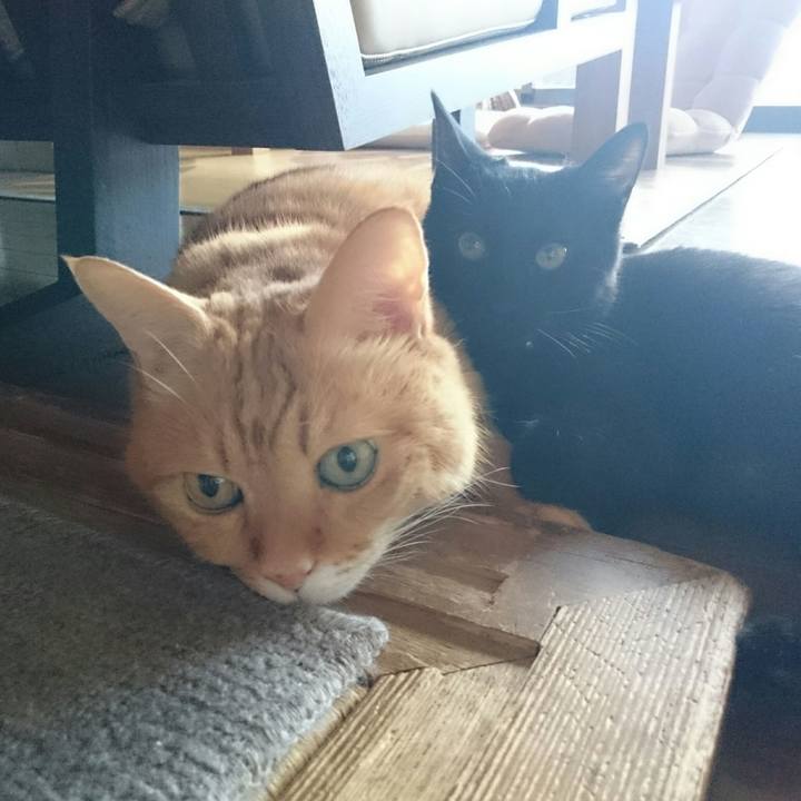 E3ab3d15 57f3 43d3 8feb a6c47a9693d6