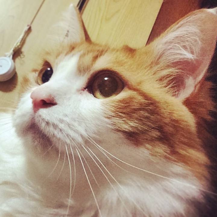 E3ac064e 4bfb 4211 89e8 15bd2b5446c0