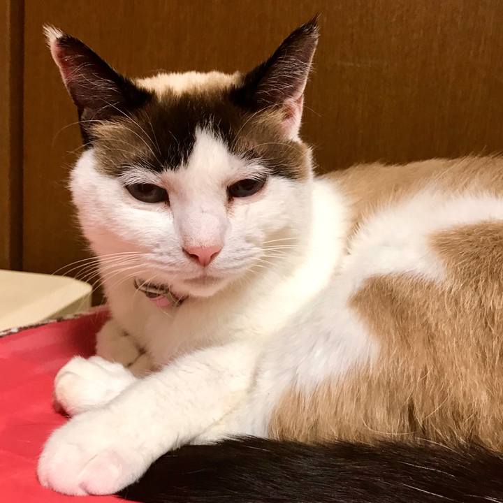 E3acff67 a8e9 4270 beca 994e757b5a64