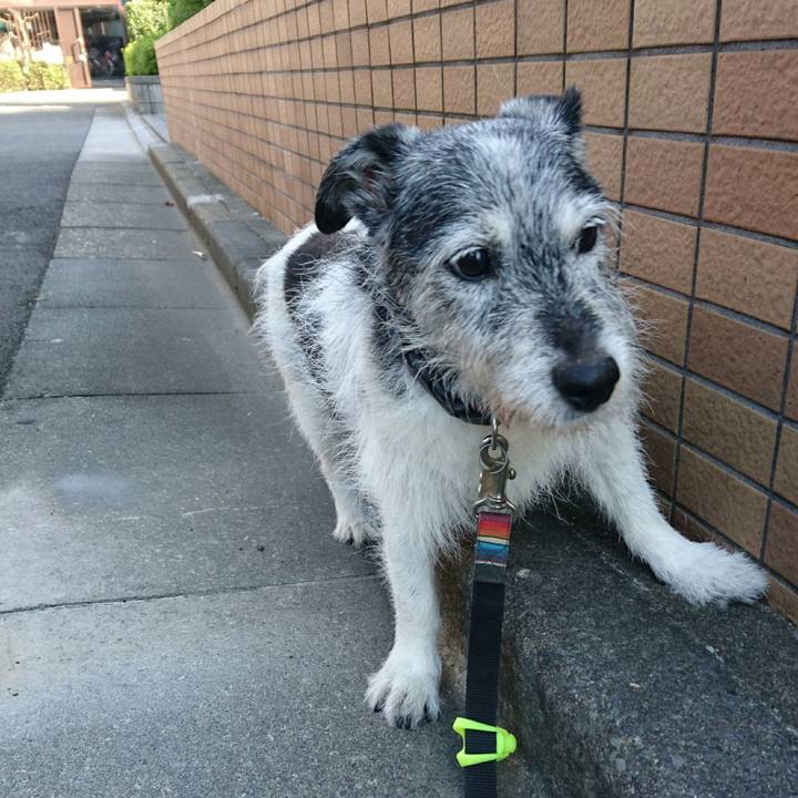 E3adbbc8 9900 4629 8414 8f0d35865cc1