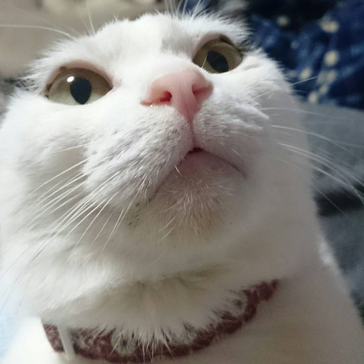 E3ae5157 f6c0 418a 8b4c cc32aa3e5a2c