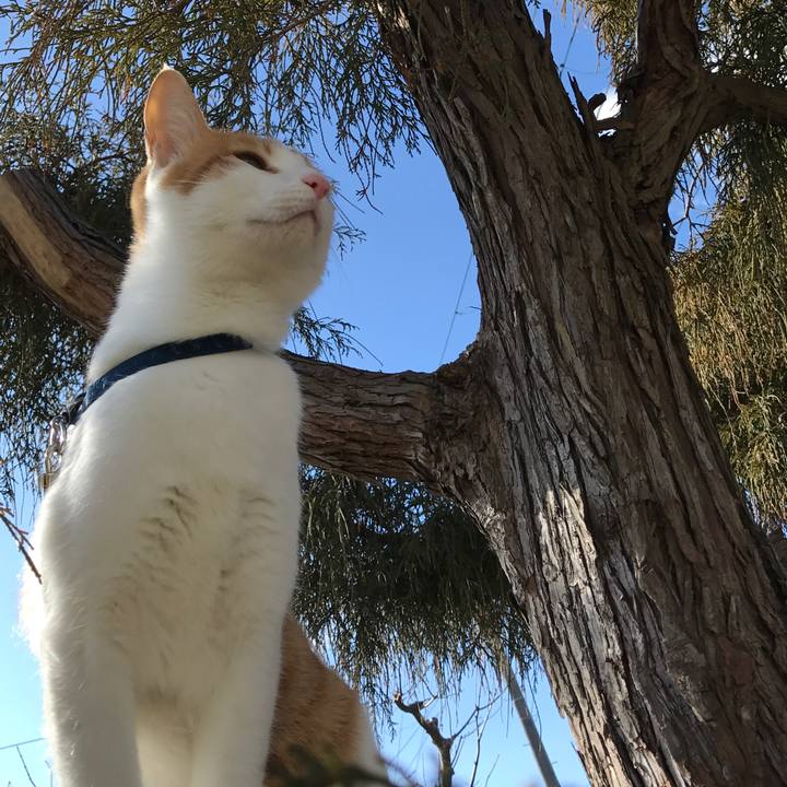 E3ae83bf 1508 4f6f ae09 092e8dfff3dd