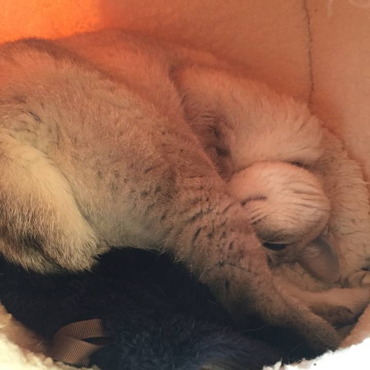 E3aeb08a bb1f 4037 8660 a6c44b488390