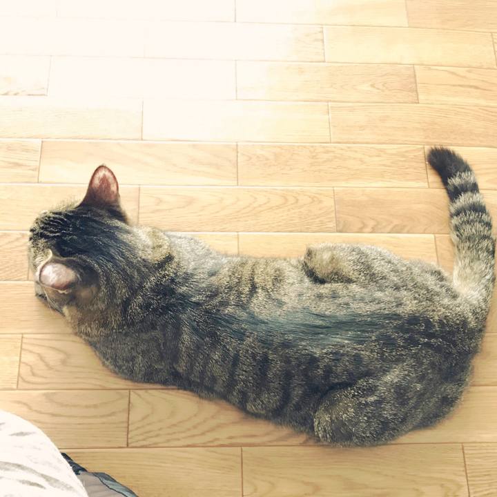 E3af56f8 18a4 46db 9dc3 4a0df00dc17c