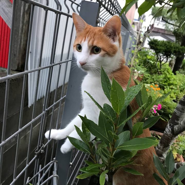 E3af7354 5afd 4189 b331 f749c75efa14