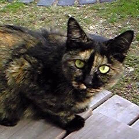 E3afb08e 7f58 45a9 a401 ce7fdf082fbe