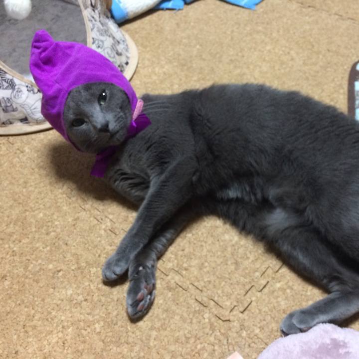 E3b06e27 9341 4ec4 9eb9 cf1d9668b68b