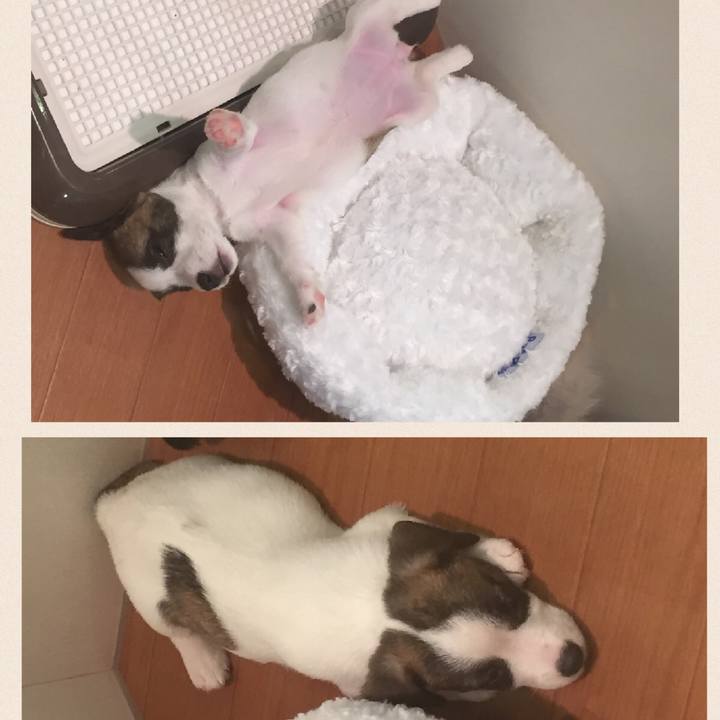 E3b115e9 5dff 4b53 bf1b 6edfc87b16cf