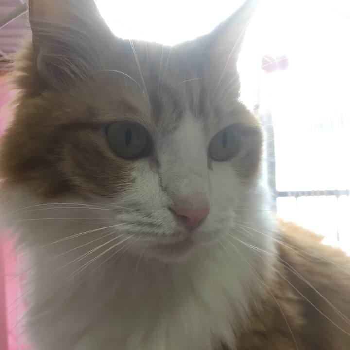 E3b132ee b341 44c2 b466 964a5adcf0a9