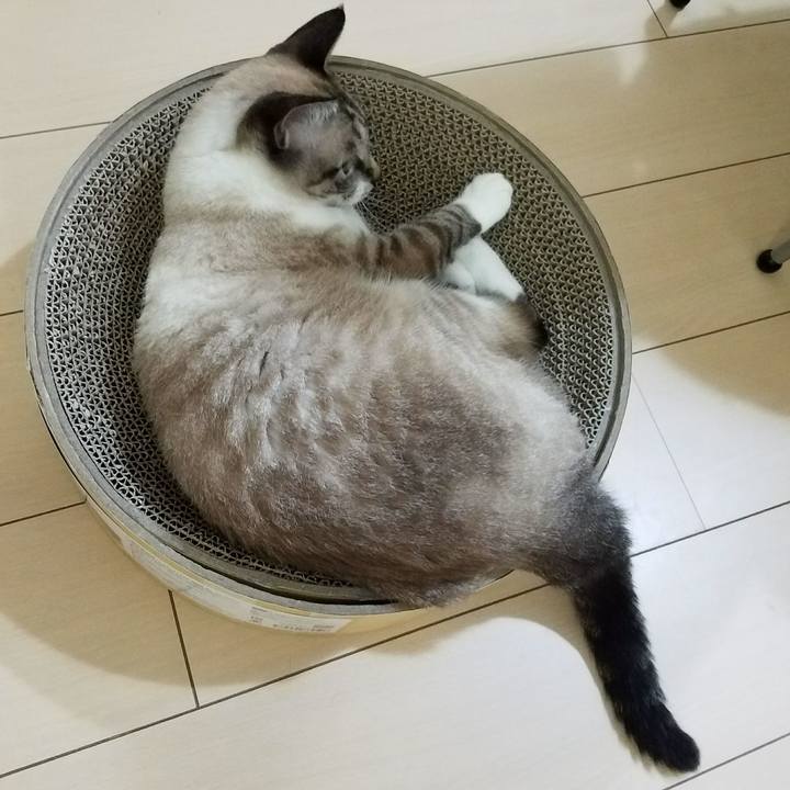 E3b22102 f95f 4958 9224 5afa94f4fb9b