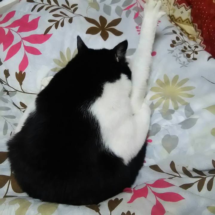 E3b23ddc 4ed4 4d01 bfb2 6e716e8353c1