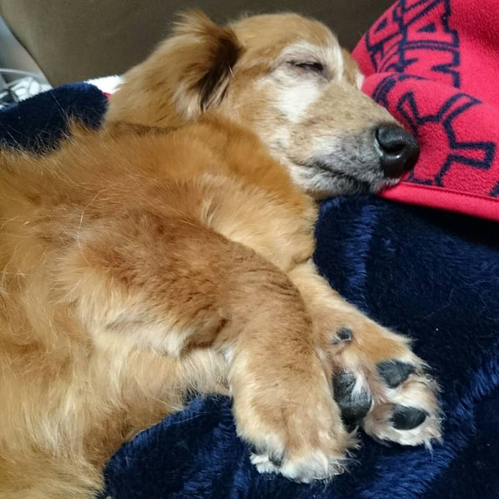 E3b27eca caa3 4a7a a66a 9512ca15b7d0