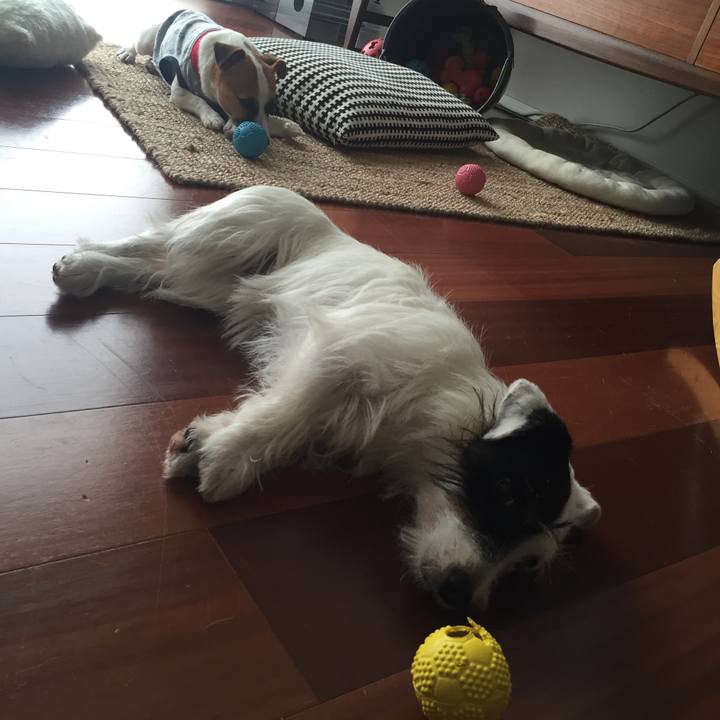 E3b36e6c f144 4a48 88fa fa497745d30b