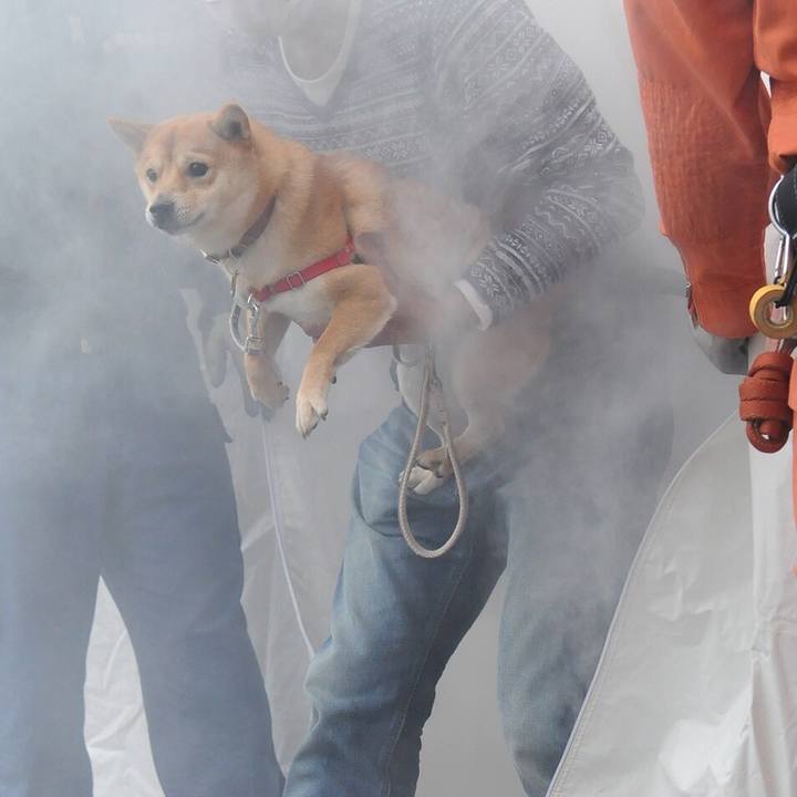 E3b3ca4b ac1f 4018 bbba 538e3cddff70