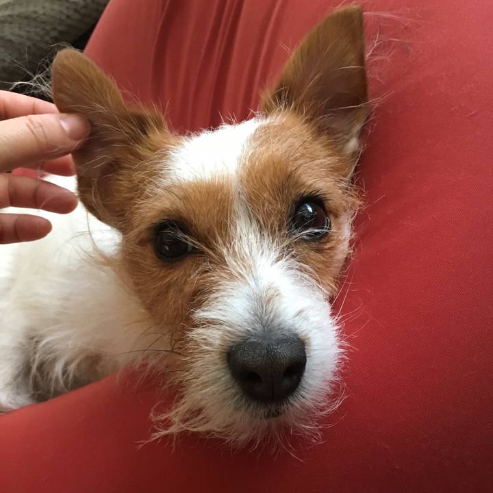 E3b3fe3f fc2c 4992 8e36 33f8b0435c3c