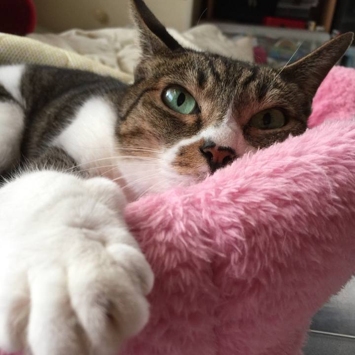 E3b41ab6 2992 4ff3 aba5 193b6309bc40