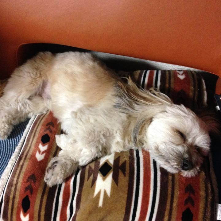 E3b4ac32 7f8d 4195 8e7d 8201612ce8fc