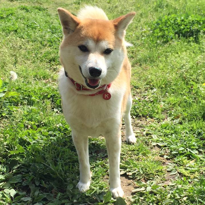 E3b52499 84a5 4bb6 bcd2 13da796da4da