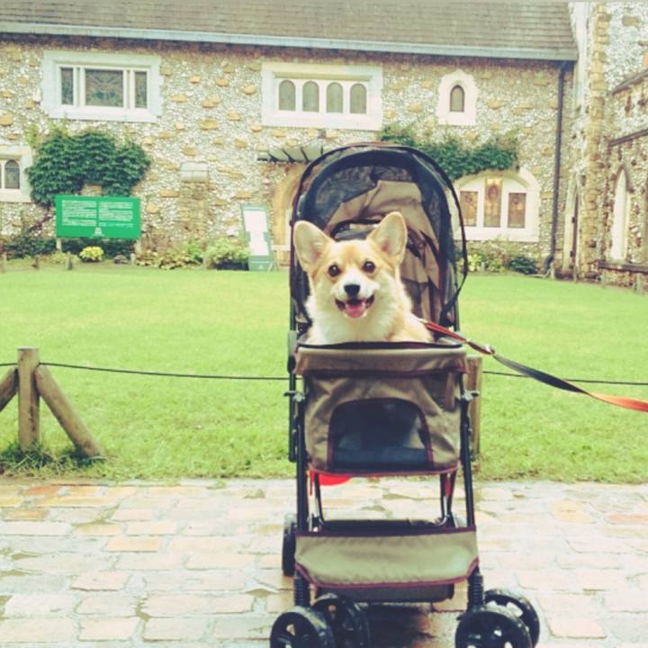 E3b57368 2e95 4ae3 9d83 034bb2918dd2