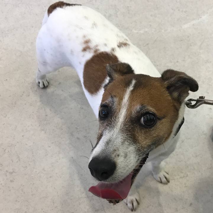 E3b5a8a1 1bb1 45b4 aa9b a77f1bd703d3