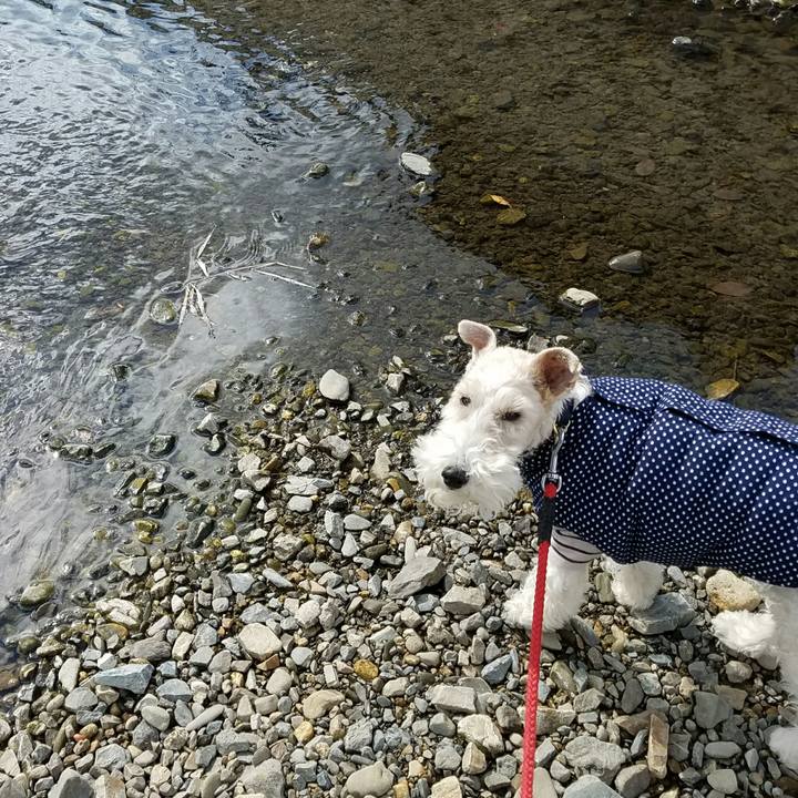 E3b79de5 3168 4bc6 bb69 3c1eafdc381d