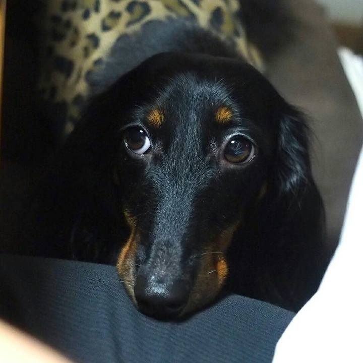 E3b7b6de 839c 4bb8 be18 70e2c4afeda2