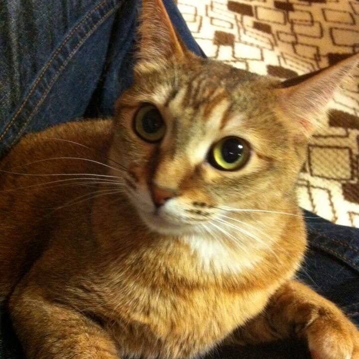 E3b7bcb0 22b8 4838 8765 c0954b89e2df