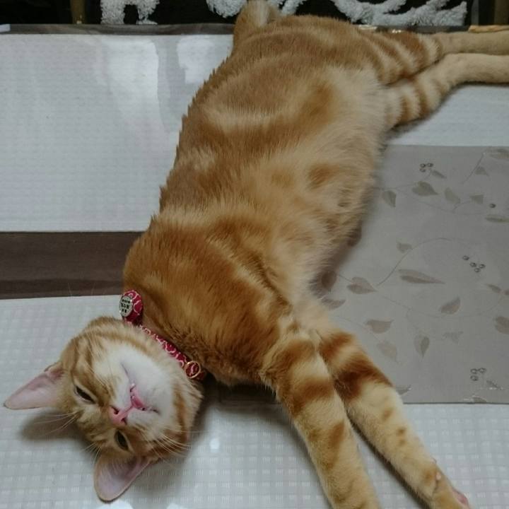 E3b7bd96 b529 45b0 90f9 46dba08275a4