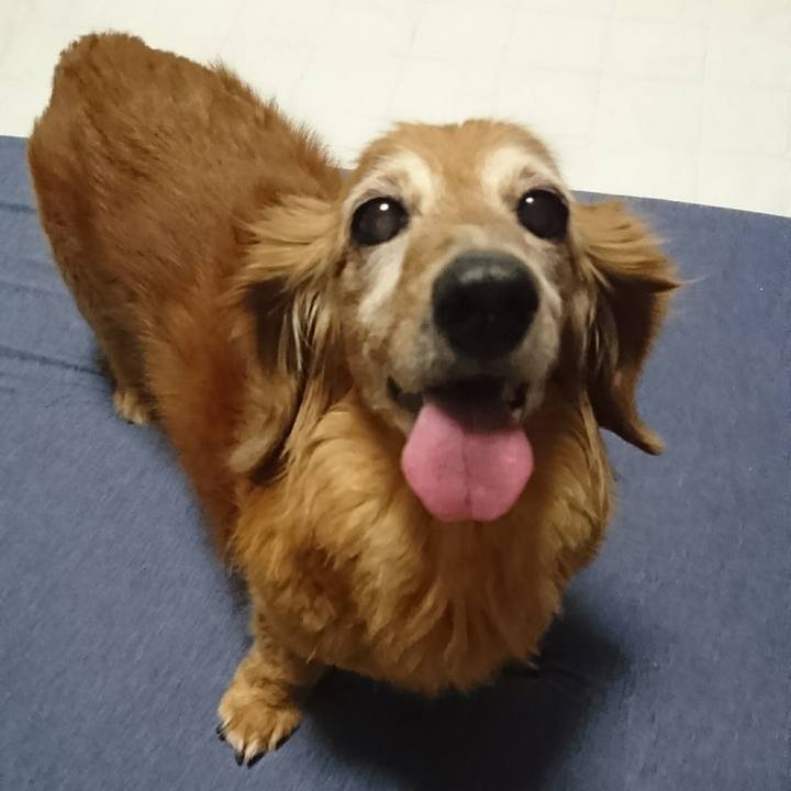 E3b7c7d6 9f5e 4076 bc66 51c6114d271f