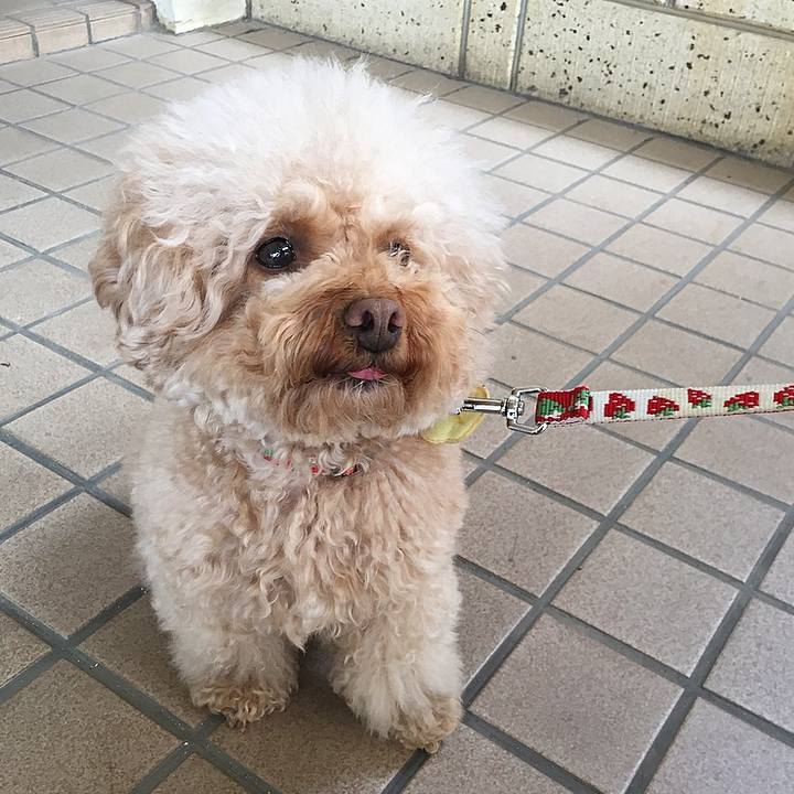 E3b8aa7a 9701 4373 aace e14444b4796f