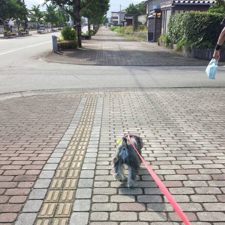 E3b8cb6a ea4d 4322 aa98 9f7d6252b882