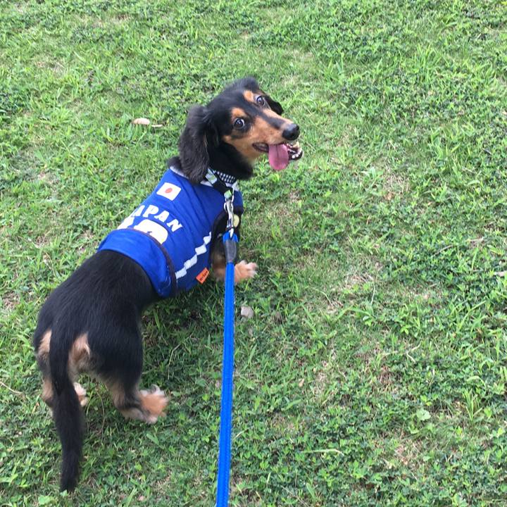 E3b8f80b 74bb 4ae8 8d9f dc1e60bd9fdc