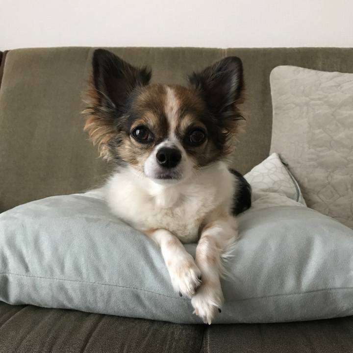 E3b97ed5 08ed 4583 8592 819c0df155fe