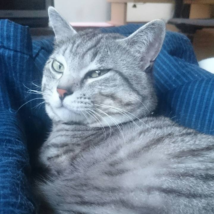 E3ba2ee2 b066 4145 9042 27c1edab5b5c