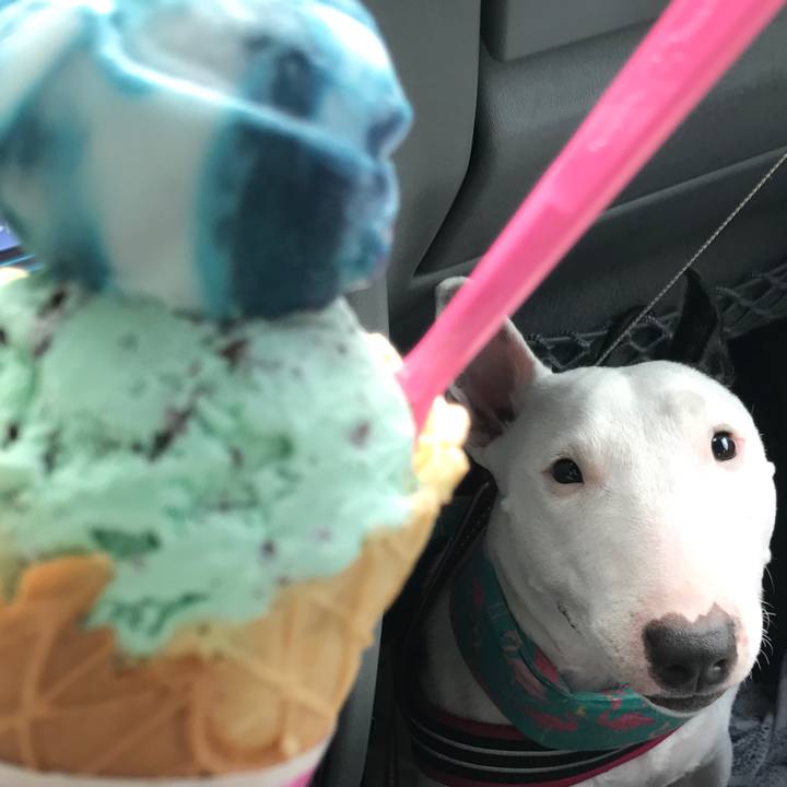 E3ba71c7 07e8 40d4 abf8 7a746d88884e