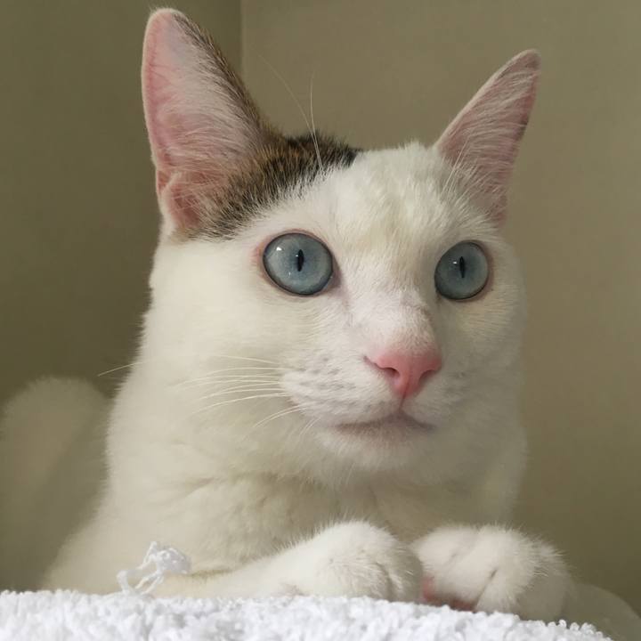 E3baad31 c031 4ff1 82fc a969a77f4e03